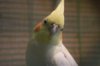 DSC_0384.JPG