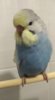 IMG_20170710_152905.jpg