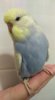 IMG_20170710_152405.jpg