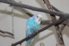 IMG_2488.JPG