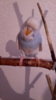IMG-20170715-WA0041.jpeg