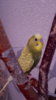 IMG-20170715-WA0014.jpeg
