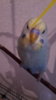 IMG-20170715-WA0033.jpeg