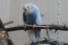 IMG_2667.JPG