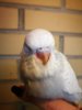 IMG_20170718_161746.jpg