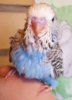 IMG_20170718_163804.jpg