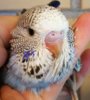 IMG_20170718_163911.jpg