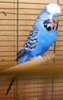 IMG_20170718_163515.jpg
