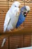 IMG_20170718_163341.jpg