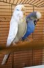 IMG_20170718_163314.jpg