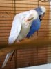 IMG_20170718_163220.jpg