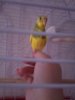 IMG-20170718-WA0036.jpg