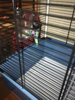 IMG-20170719-WA0002.jpg