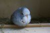 IMG-20170719-WA0012.jpg