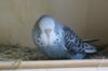 IMG-20170719-WA0015.jpg