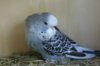 IMG-20170719-WA0016.jpg