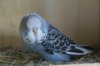 IMG-20170719-WA0017.jpg