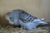 IMG-20170719-WA0018.jpg