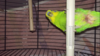 IMG_3964.PNG