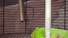 IMG_3978.GIF
