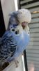 DSC_2589.JPG