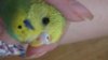 20170724_000522.jpg