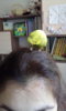 IMG-20170724-WA0046.jpeg