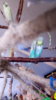 IMG-20170724-WA0069.jpeg