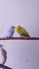 IMG-20170723-WA0007.jpeg