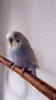 IMG-20170724-WA0028.jpeg