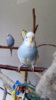 IMG-20170724-WA0040.jpeg
