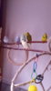 IMG-20170724-WA0117.jpeg