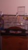 IMG-20170724-WA0124.jpeg