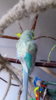 IMG-20170724-WA0072.jpeg