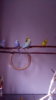 IMG-20170724-WA0111.jpeg