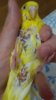 20170727_231817.jpg