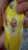 20170727_231807.jpg