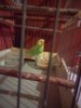IMG_20170727_222515.jpg