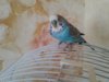 20170728_130805.jpg