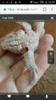 Screenshot_2017-07-28-18-07-30.png