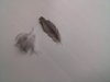 CAM03272.jpg