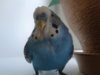 20170725_160434.jpg