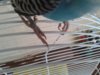 20170729_161456.jpg