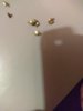 IMG_20170731_015812.jpg