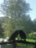 20170730_125730.jpg