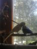 20170730_130554.jpg