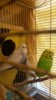 20170801_105511.jpg