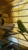 20170801_103317.jpg