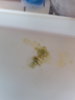 20170803_084457.jpg