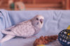 _DSC5949@0,25x.jpg